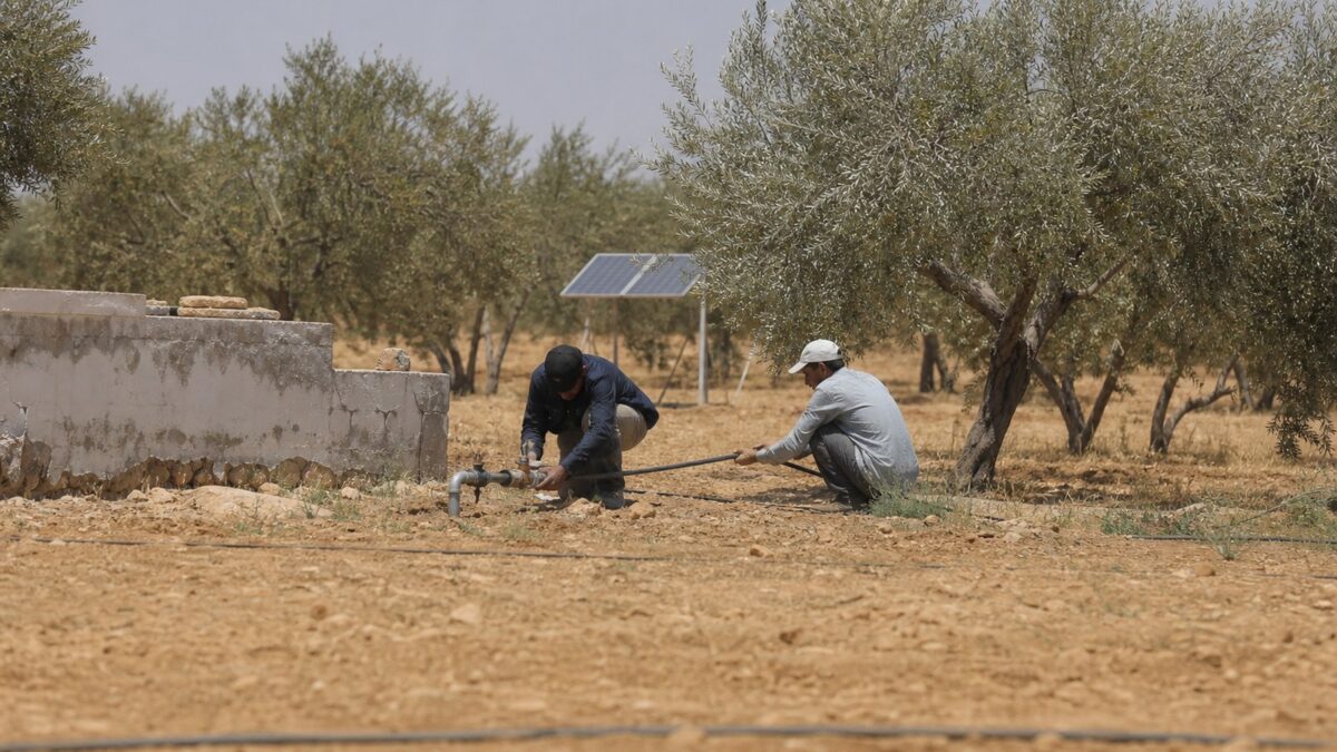 Zwei Männer schliessen in einem Olivenhain eine Wasserleitung an eine solarbetriebene Pumpe an – Wasser- und Solarprojekt als Hilfe zur Selbsthilfe