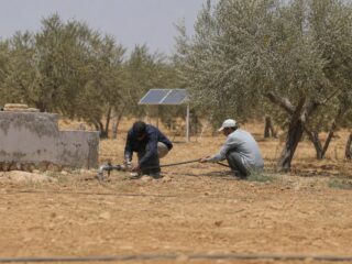 Zwei Männer schliessen in einem Olivenhain eine Wasserleitung an eine solarbetriebene Pumpe an – Wasser- und Solarprojekt als Hilfe zur Selbsthilfe