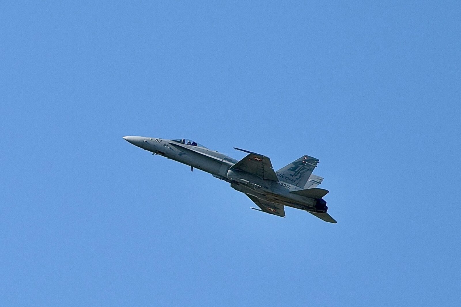 F/A-18 Hornet der Schweizer Luftwaffe im Flug