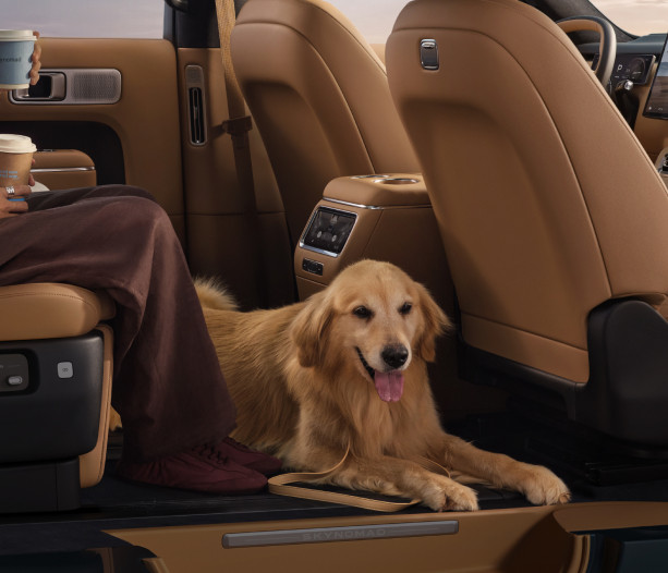 Xiaomi SkyNomad N90 Max mit Hund